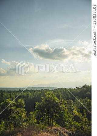 travel and people activity concept with cloud and sky  with mountain and forest background 123025108