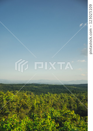 travel and people activity concept with cloud and sky  with mountain and forest background 123025109