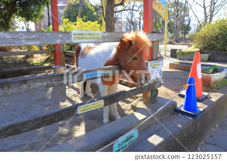 Children's Zoo Takashimadaira Branch Cute Ponies Children's Zoo Takashimadaira Branch Cute Ponies 123025157