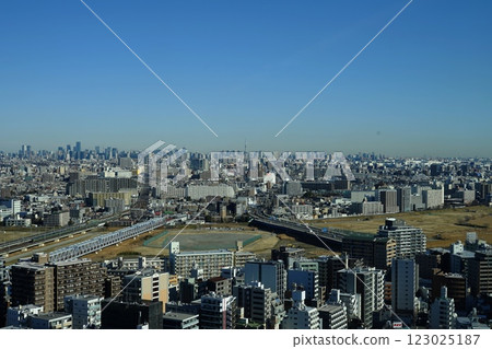 川崎市中心和摩天大樓在藍天映襯下熠熠生輝 二月川崎 497 川崎市政府 川崎市中心和摩天大樓在藍天映襯下熠熠生輝 二月川崎 497 川崎市政府 123025187