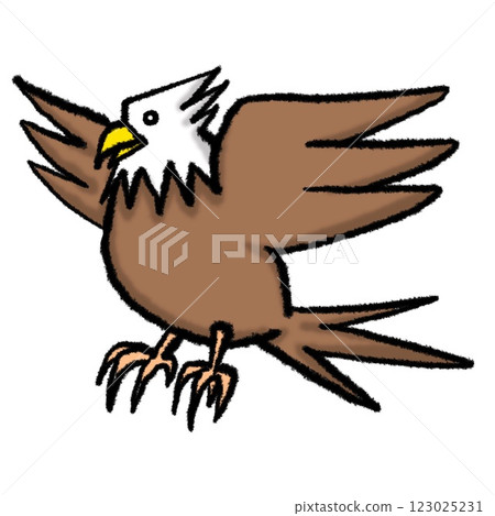 Hawk-boy 123025231