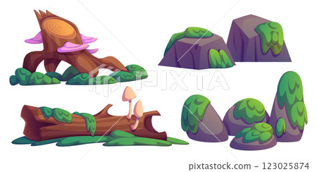 Natural swamp environment elements Natural swamp environment elements 123025874