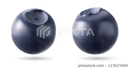 Pair of realistic 3D blueberries Pair of realistic 3D blueberries 123025994