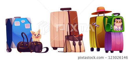Pet travel baggage set isolated on white 123026146