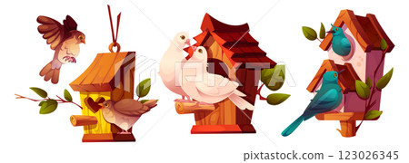 Wooden nesting boxes inhabited by birds 123026345