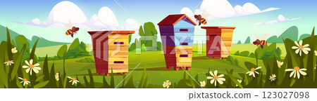 Wooden beehive boxes in summer apiary landscape 123027098