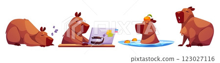 Cute capybara character set in daily activities 123027116