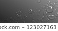 Water droplets scatter on smooth gray surface. 123027163