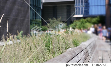 New York City High Line elevated greenway, Manhattan Midtown, USA. People in urban green public park 123027819