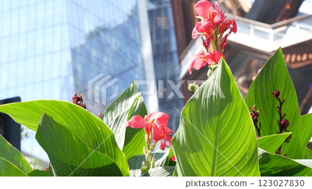 New York City, Hudson Yards, urban architecture in Chelsea, Manhattan Midtown, USA. Flowers bloom. 123027830