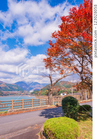 【群馬縣】猿峽溫泉與赤谷湖：湖畔的紅葉 123028058