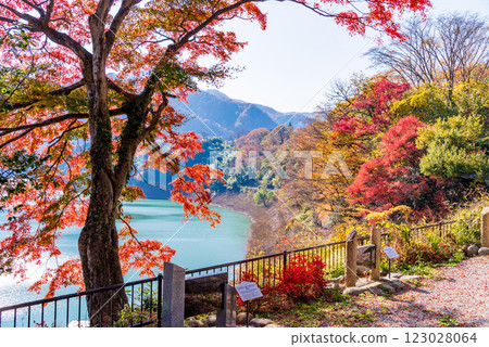 [Gunma Prefecture] Sarugakyo Onsen and Lake Akaya: Autumn leaves along the lakeside 123028064