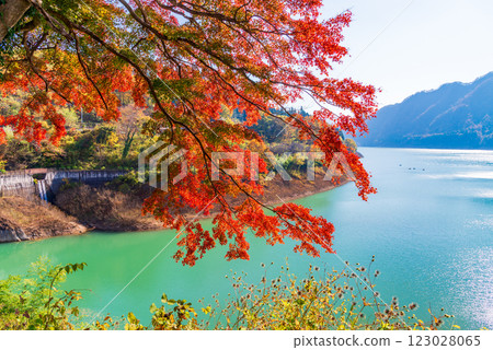 [Gunma Prefecture] Sarugakyo Onsen and Lake Akaya: Autumn leaves along the lakeside 123028065