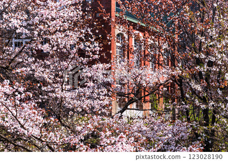 Yubari City, Hokkaido, Autumn Leaves Takinoue Power Station [October] 123028190