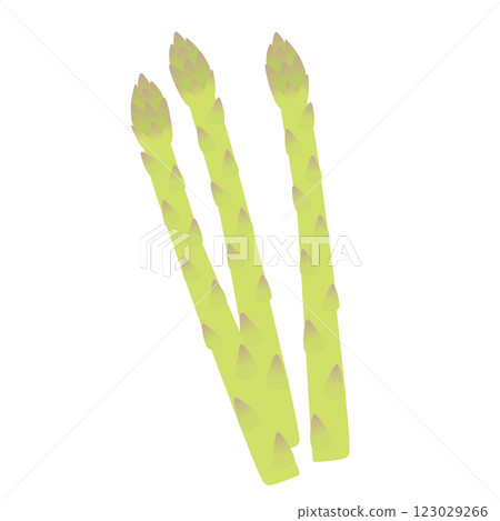 Illustration of asparagus Illustration of asparagus 123029266
