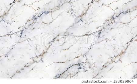 The Elegant White Marble featuring beautiful Gold Veins is perfect for creating Luxurious Interiors 123029904