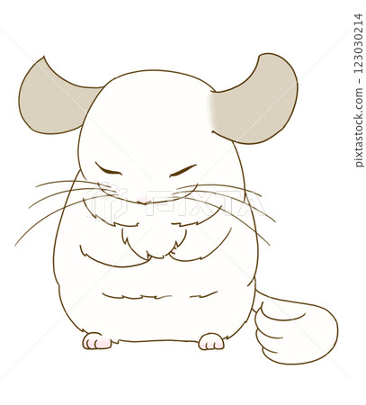 Chinchilla sleeping standing up (white) Chinchilla sleeping standing up (white) 123030214