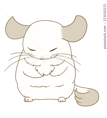 Chinchilla (pied) sleeping standing up 123030215