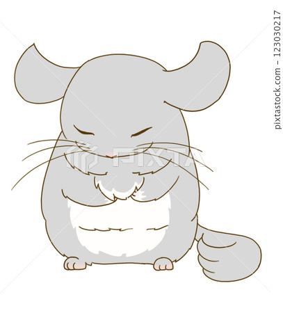 Chinchilla sleeping standing up (gray) 123030217
