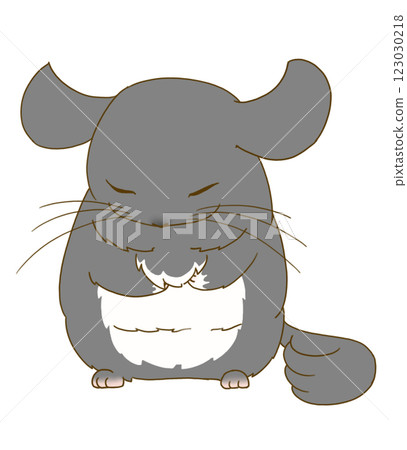 Chinchilla sleeping standing up (Black Velvet) 123030218