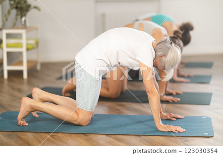 Senior woman doing Cat Cow Stretch during group yoga session 123030354