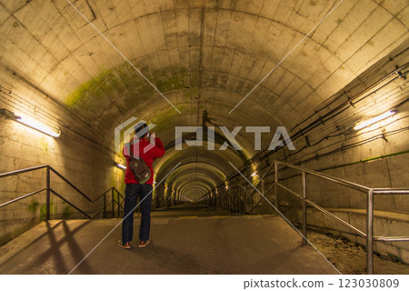 [Gunma Prefecture] Joetsu Line Toge Station, Underground Stairs 123030809