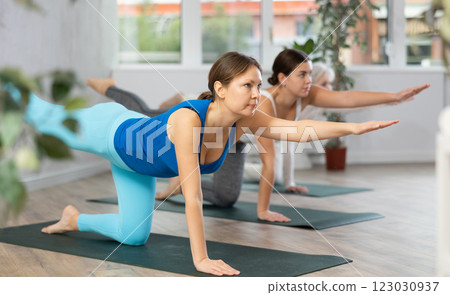 Young focused women doing stretching exercises in yoga studio 123030937