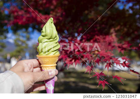 Autumn leaves in Kyoto and matcha flavored soft serve ice cream 123031047