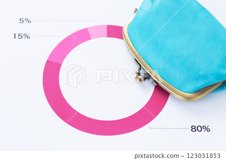 Percentage and ratio business graph and wallet Percentage and ratio business graph and wallet 123031853
