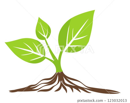 Leafy plant sprouting from soil with vibrant green leaves and roots in a minimalist style 123032013