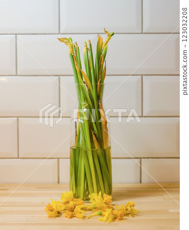 Daffodil stems in vase, wilted flowers fallen in kitchen with white titles . High quality photo Daffodil stems in vase, wilted flowers fallen in kitchen with white titles . High quality photo 123032208