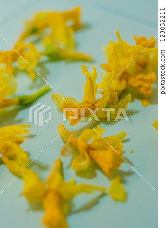 Wilted yellow flowers scattered on light blue. Faded beauty, fragility. High quality photo Wilted yellow flowers scattered on light blue. Faded beauty, fragility. High quality photo 123032211