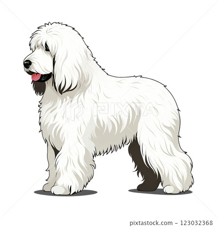 可蒙犬，保護家人的保鑣 123032368