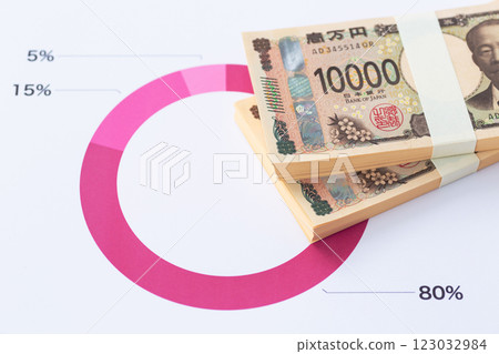 百分比和比率業務圖表和鈔票 123032984