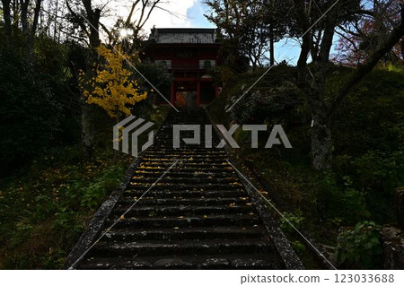 Joshoji temple in autumn 123033688