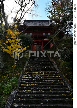 Joshoji temple in autumn 123033691