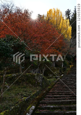 Joshoji temple in autumn 123033819