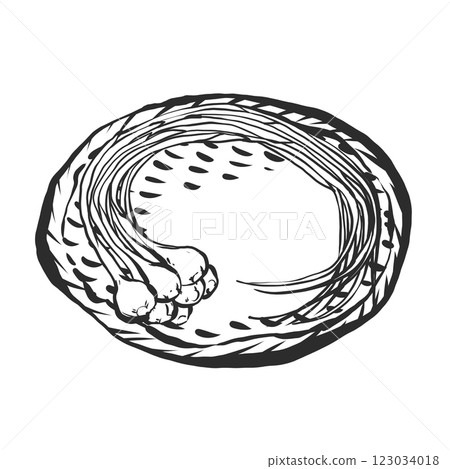 諾比爾的手繪插圖 諾比爾的手繪插圖 123034018