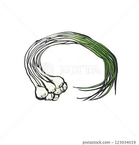 諾比爾的手繪插圖 諾比爾的手繪插圖 123034019