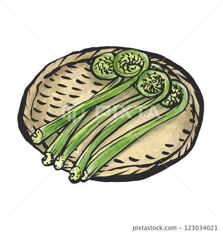 Hand-drawn brush-style illustration of kogomi 123034021