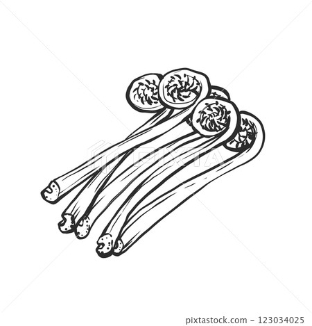 Hand-drawn brush-style illustration of kogomi 123034025