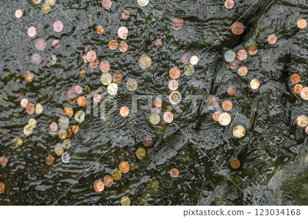 Coins in fountain water thrown by tourists Coins in fountain water thrown by tourists 123034168