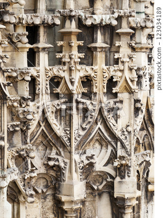 Details of the facade of the St. Stephen's cathedral, Vienna Details of the facade of the St. Stephen's cathedral, Vienna 123034189