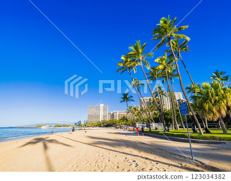 Hawaiian Morning Waikiki Beach 123034382