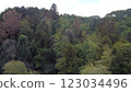 一座變成紅色葉子的山 123034496
