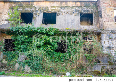 The ruins of an old brick house overgrown with ivy in Montenegro The ruins of an old brick house overgrown with ivy in Montenegro 123034795