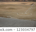 Baseball Grand 123034797