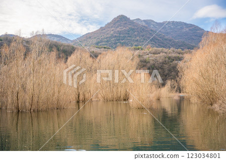 Trees and reeds on River Crnojevica, place near Lake Skadar in Montenegro surrounded by mountain peaks in winter time 123034801