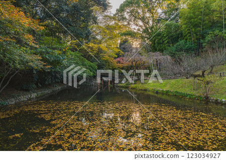 濱松市（靜岡縣）秋季傍晚的濱松城公園紅葉景色 123034927