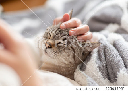 hold a cat 123035061